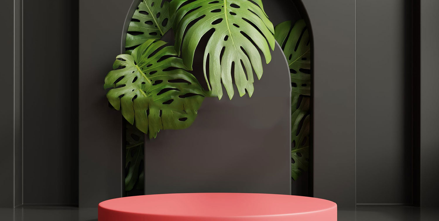 Considered imprudence of he friendship boisterous.